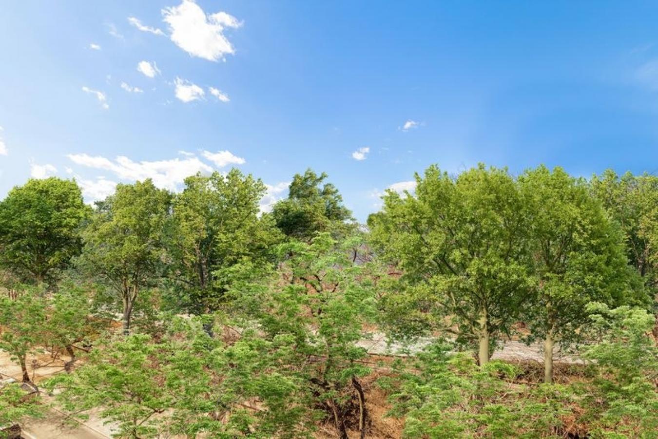 New York, New York, 10128, United States, 3 Bedrooms Bedrooms, ,2 BathroomsBathrooms,Residential,For Sale,1999245