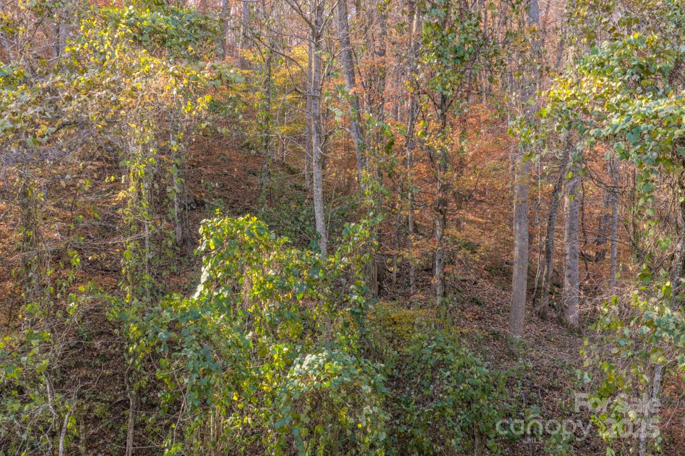 Fairview, Buncombe, 28730, United States, ,Residential,For Sale,2003868