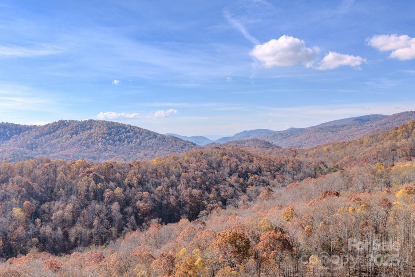 Fairview, Buncombe, 28730, United States, ,Residential,For Sale,2003868