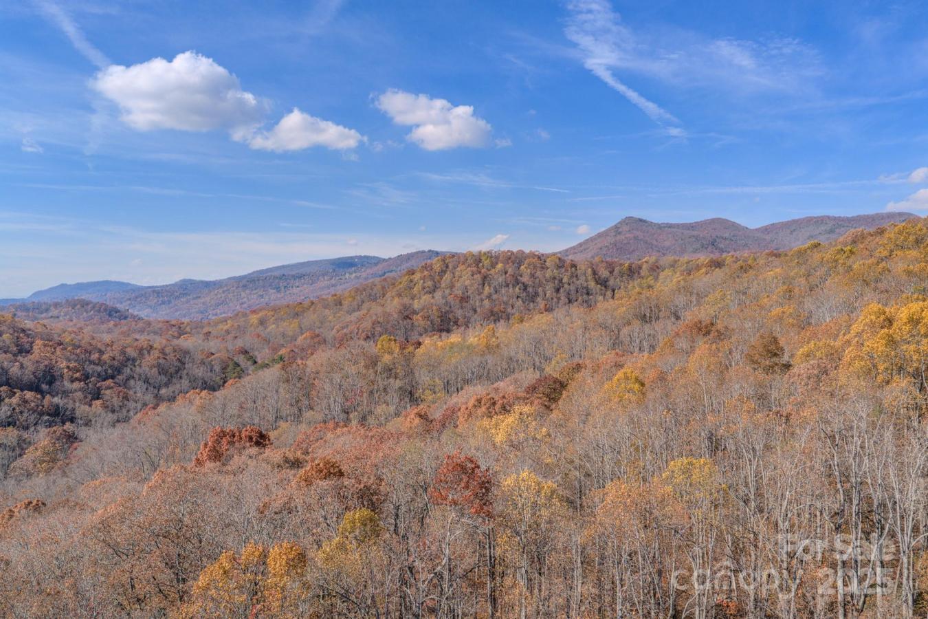 Fairview, Buncombe, 28730, United States, ,Residential,For Sale,2003868