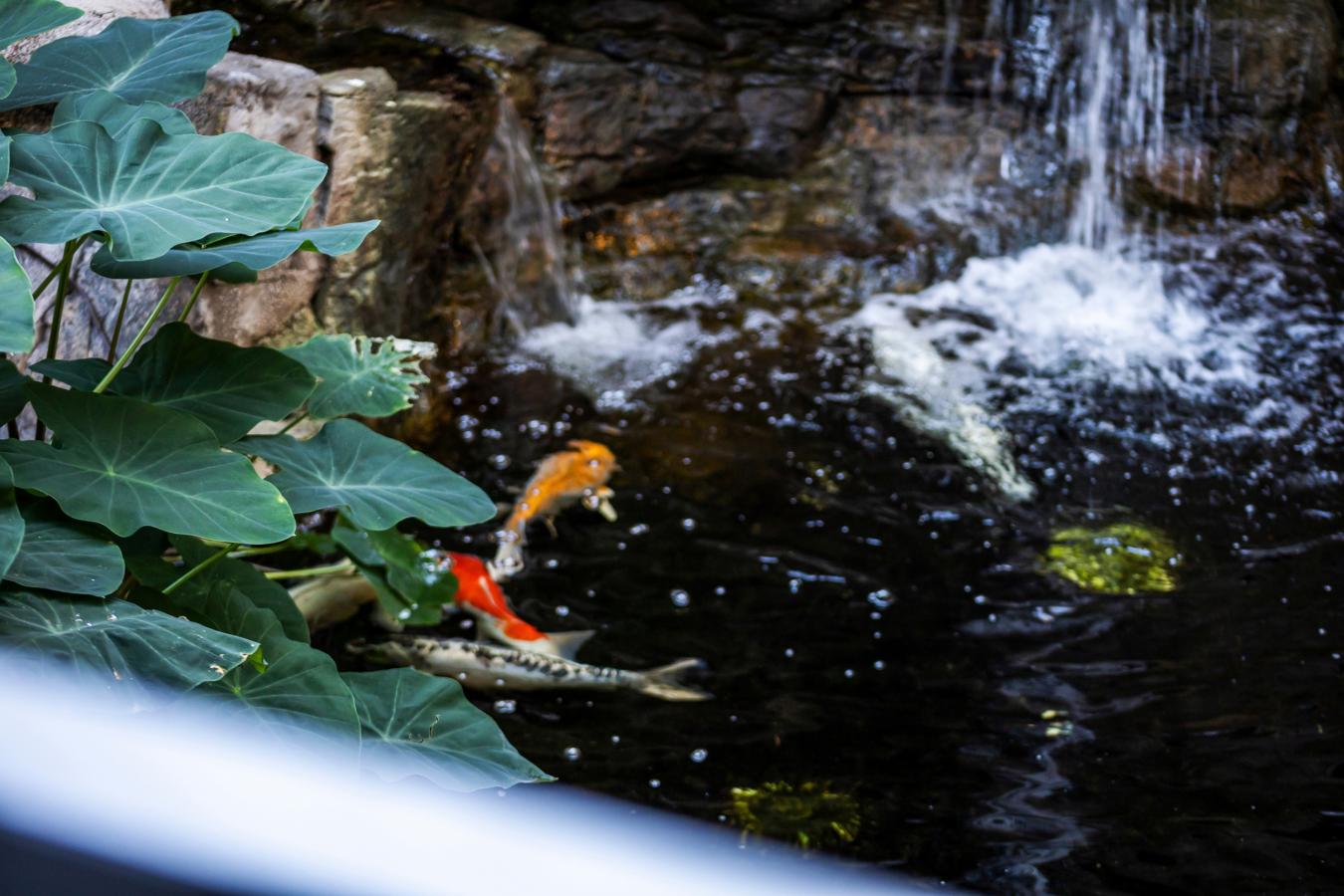 Scottsdale, Maripoca, 85258, United States, 5 Bedrooms Bedrooms, ,7 BathroomsBathrooms,Residential,For Sale,2003826