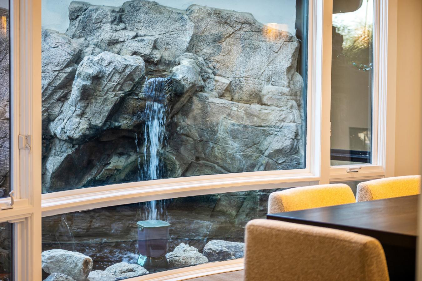 Scottsdale, Maripoca, 85258, United States, 5 Bedrooms Bedrooms, ,7 BathroomsBathrooms,Residential,For Sale,2003826