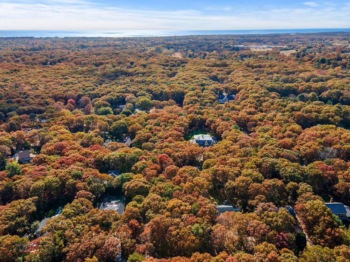 38 Wooded Oak Lane, East Hampton, NY, 11937, United States, ,Residential,For Sale,38 Wooded Oak Lane,221950