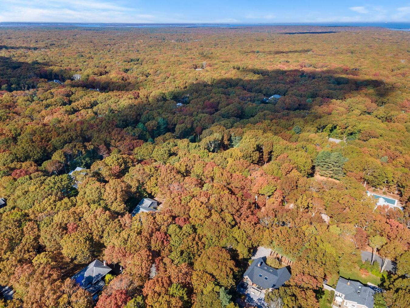 38 Wooded Oak Lane, East Hampton, NY, 11937, United States, ,Residential,For Sale,38 Wooded Oak Lane,221950