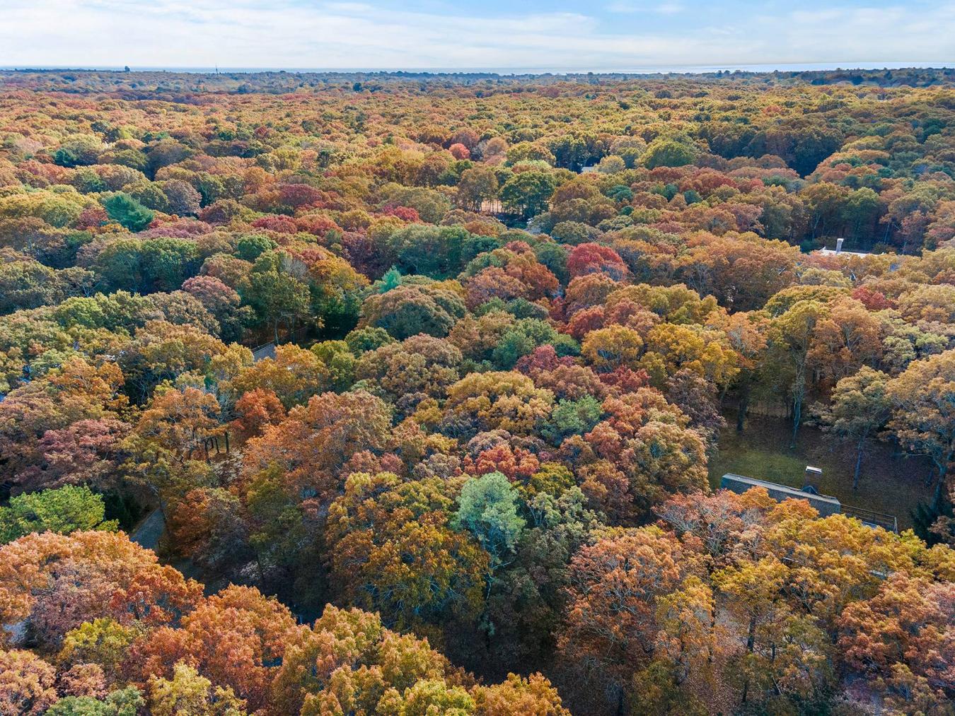 38 Wooded Oak Lane, East Hampton, NY, 11937, United States, ,Residential,For Sale,38 Wooded Oak Lane,221950