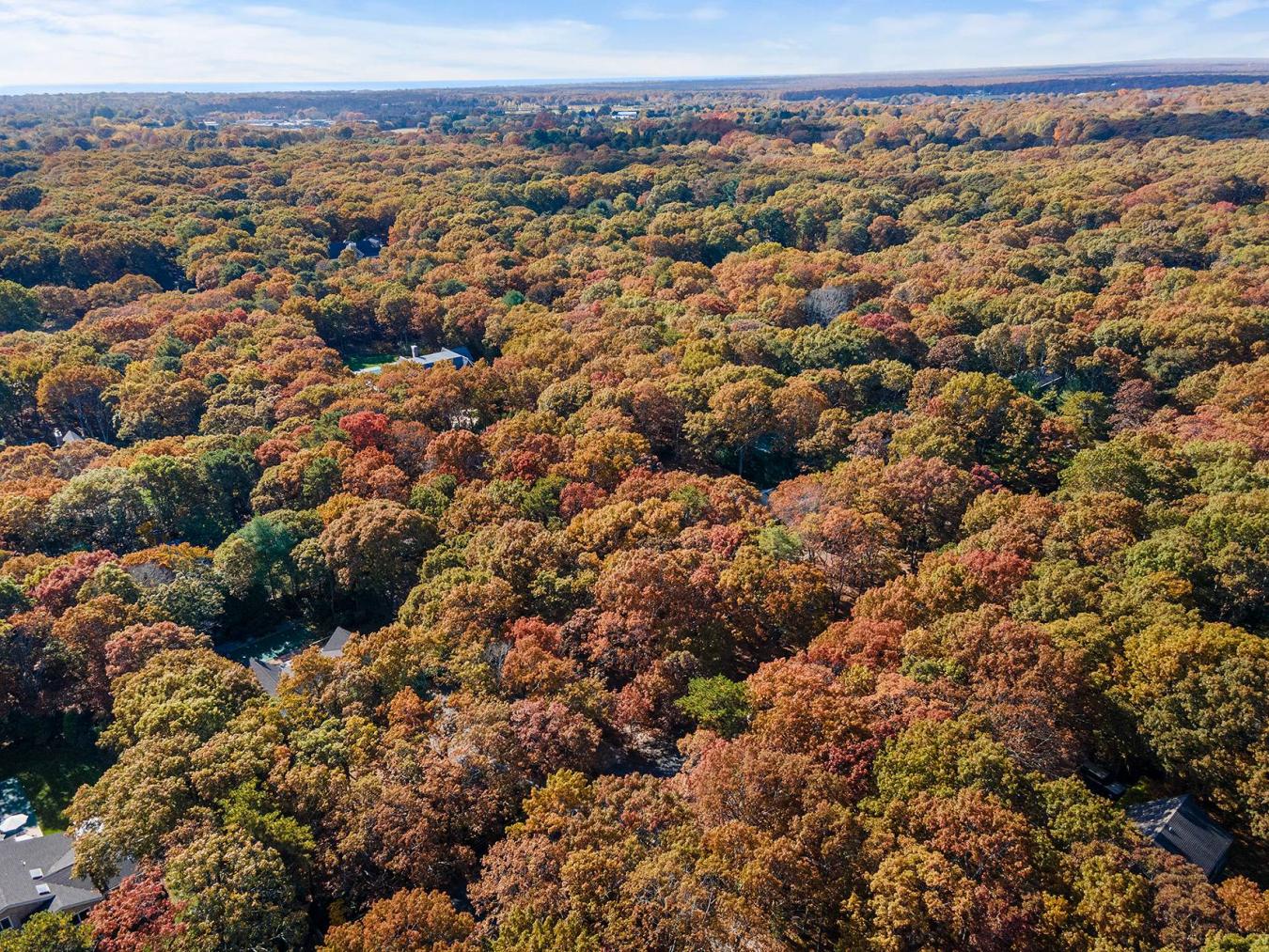 38 Wooded Oak Lane, East Hampton, NY, 11937, United States, ,Residential,For Sale,38 Wooded Oak Lane,221950