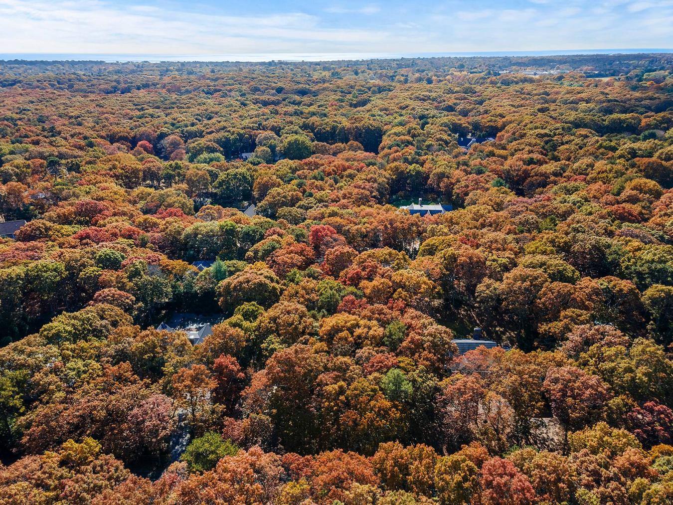 38 Wooded Oak Lane, East Hampton, NY, 11937, United States, ,Residential,For Sale,38 Wooded Oak Lane,221950