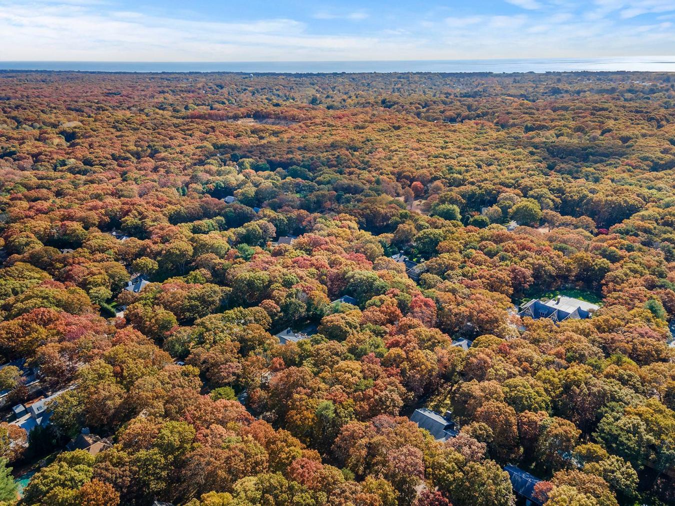38 Wooded Oak Lane, East Hampton, NY, 11937, United States, ,Residential,For Sale,38 Wooded Oak Lane,221950