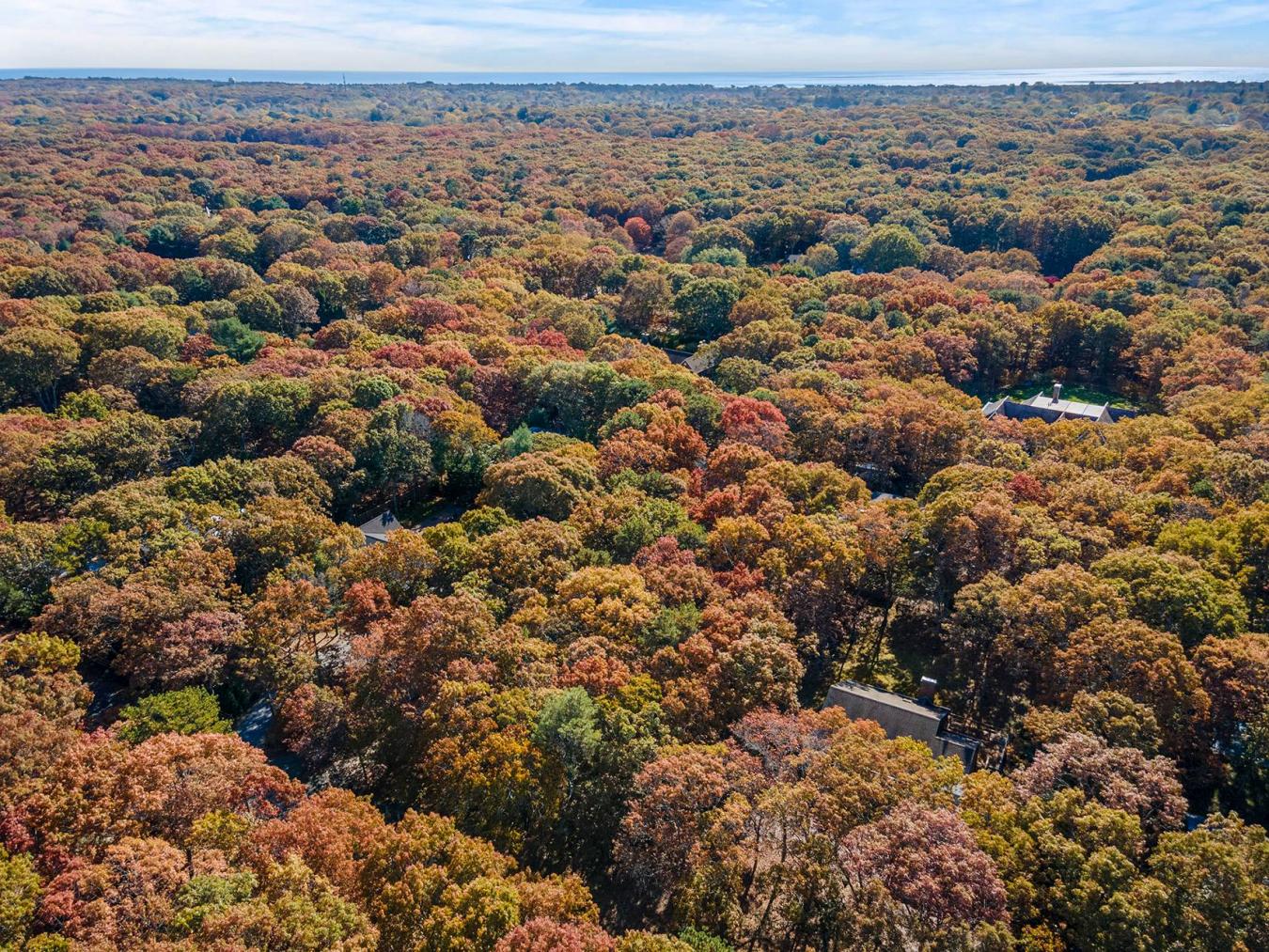 38 Wooded Oak Lane, East Hampton, NY, 11937, United States, ,Residential,For Sale,38 Wooded Oak Lane,221950