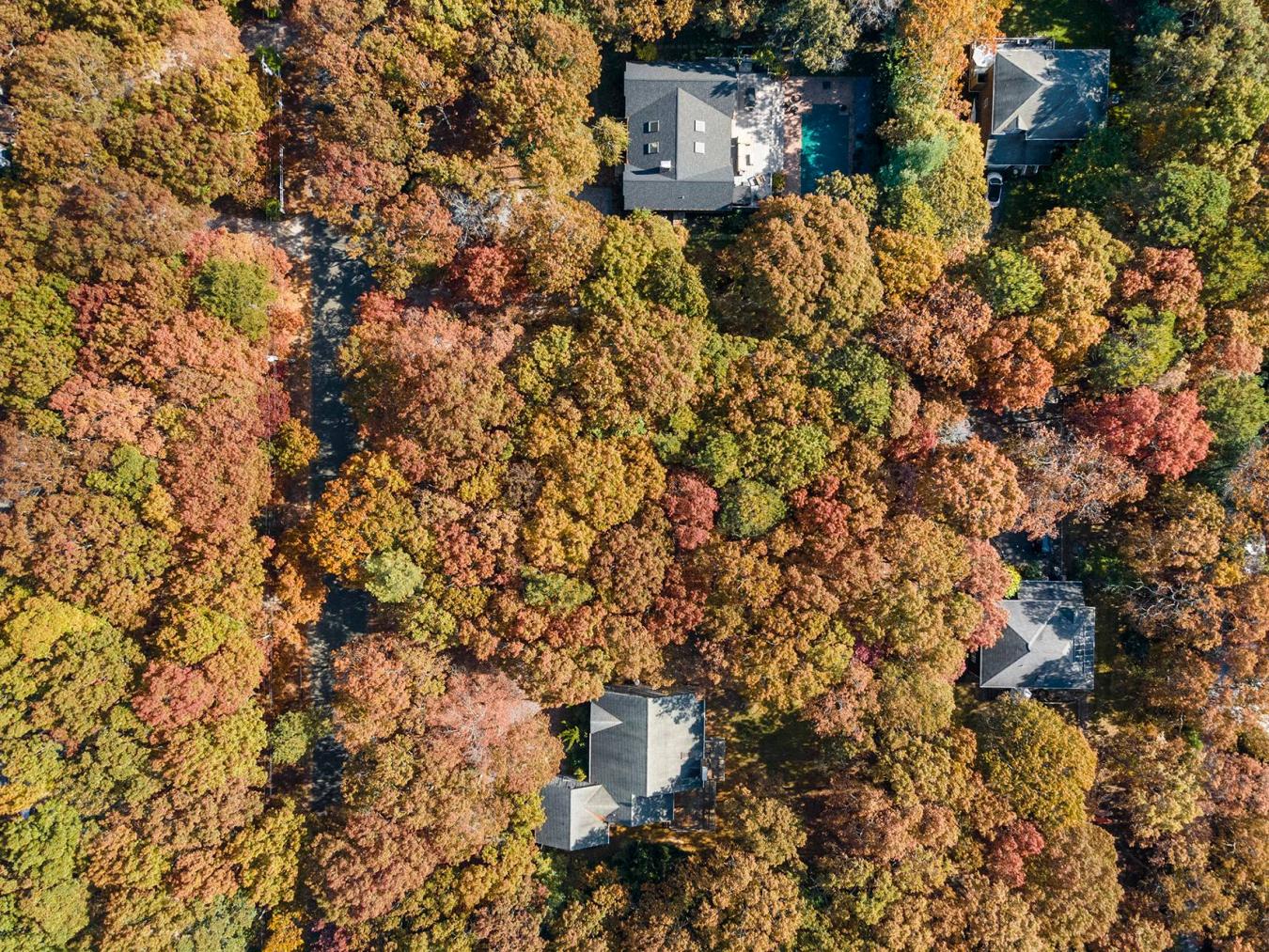 38 Wooded Oak Lane, East Hampton, NY, 11937, United States, ,Residential,For Sale,38 Wooded Oak Lane,221950