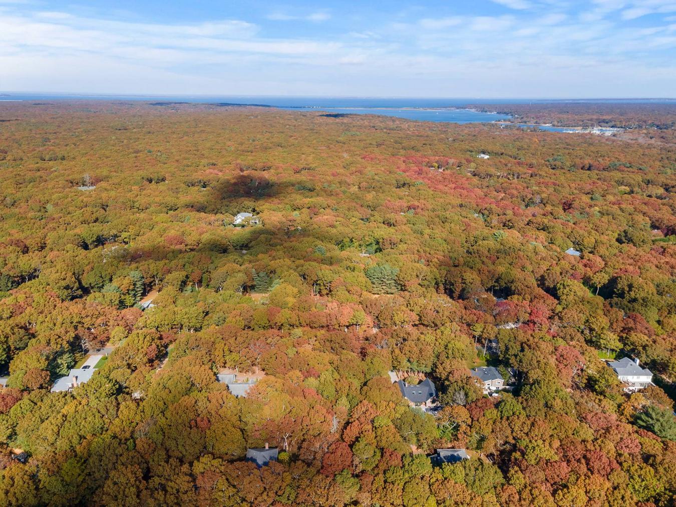 38 Wooded Oak Lane, East Hampton, NY, 11937, United States, ,Residential,For Sale,38 Wooded Oak Lane,221950