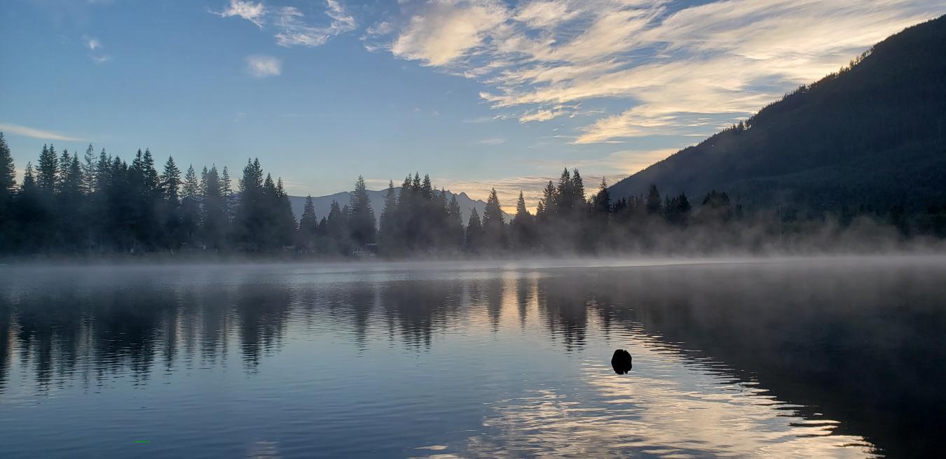 Arlington, Washington, 98223, United States, 3 Bedrooms Bedrooms, ,1 BathroomBathrooms,Residential,For Sale,2003650