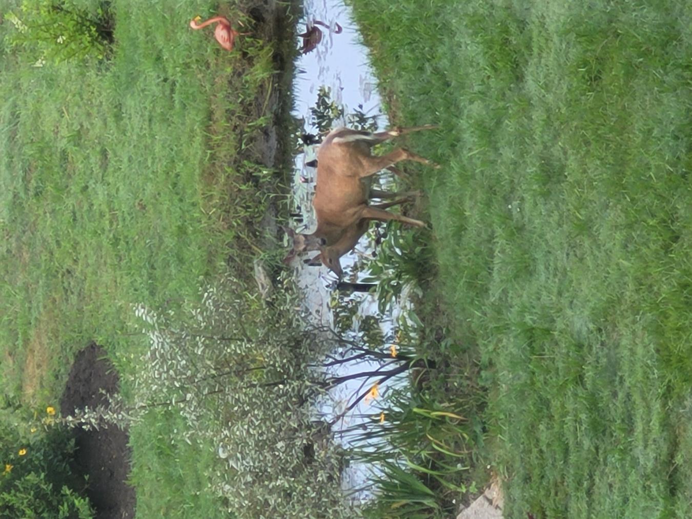 Orford, Canada, J1X7K7, Canada, 4 Bedrooms Bedrooms, ,3 BathroomsBathrooms,Residential,For Sale,2003646