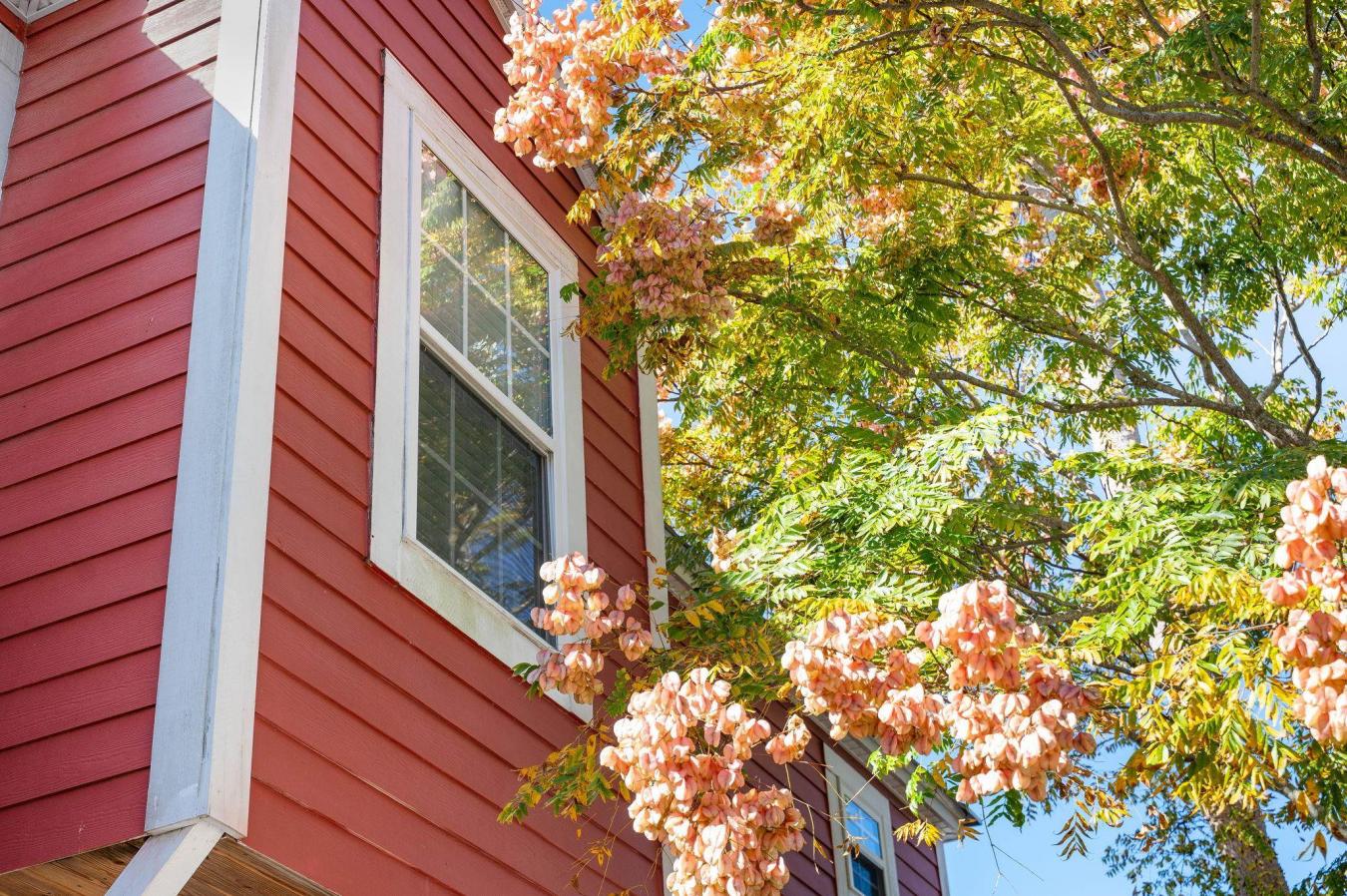 St Augustine, St. Johns, 32084, United States, 3 Bedrooms Bedrooms, ,2 BathroomsBathrooms,Residential,For Sale,2003616