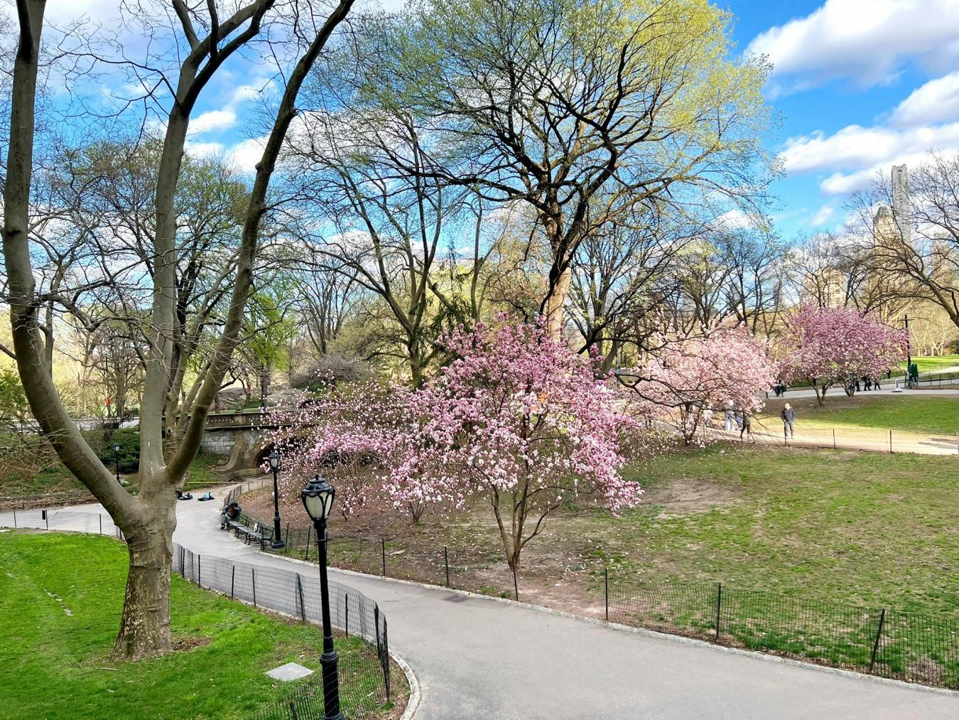 New York, New York, 10023, United States, 3 Bedrooms Bedrooms, ,2 BathroomsBathrooms,Residential,For Sale,2003596