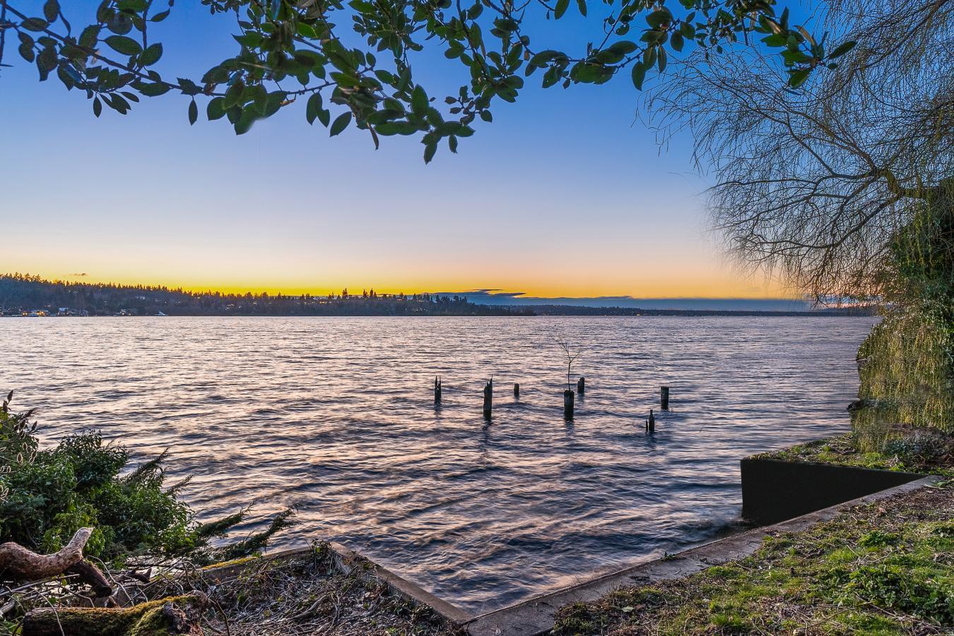 Bellevue, Washington, 98004, United States, 2 Bedrooms Bedrooms, ,2 BathroomsBathrooms,Residential,For Sale,2003580