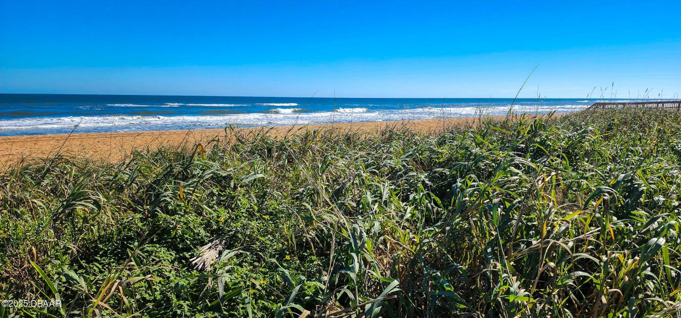 Ormond Beach, Volusia, 32176, United States, ,Residential,For Sale,2008878