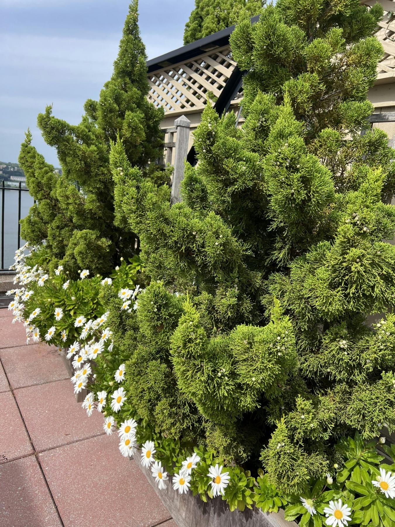 New York, New York, 10024, United States, 3 Bedrooms Bedrooms, ,2 BathroomsBathrooms,Residential,For Sale,2011170