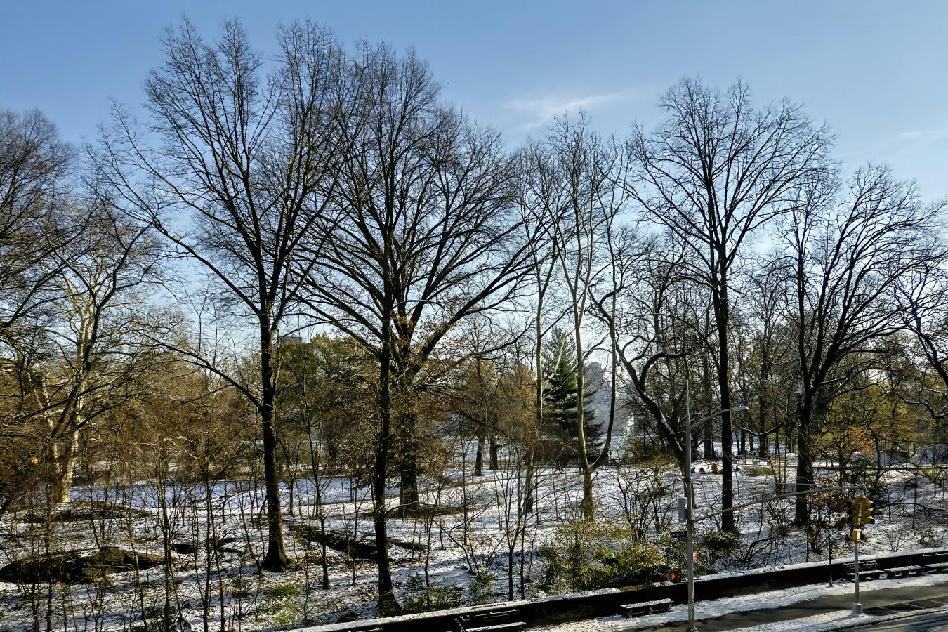 New York, New York, 10025, United States, 3 Bedrooms Bedrooms, ,3 BathroomsBathrooms,Residential,For Sale,2012416