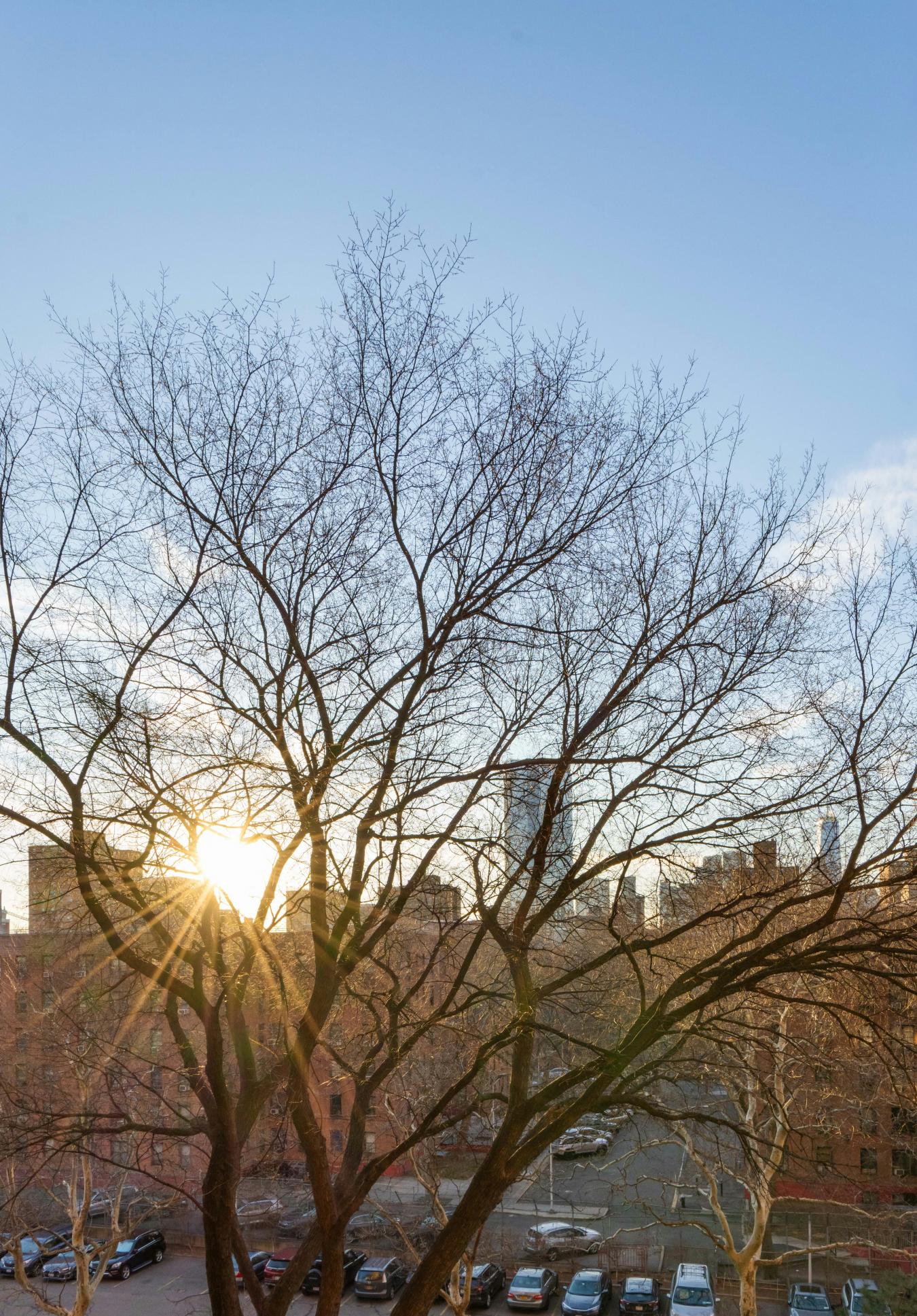 Lower East Side, New York, 10002, United States, 3 Bedrooms Bedrooms, ,1 BathroomBathrooms,Residential,For Sale,2012768