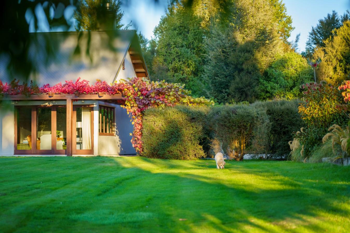 Wanaka, Central Otago, 9305, New Zealand, 6 Bedrooms Bedrooms, ,5 BathroomsBathrooms,Residential,For Sale,2015371