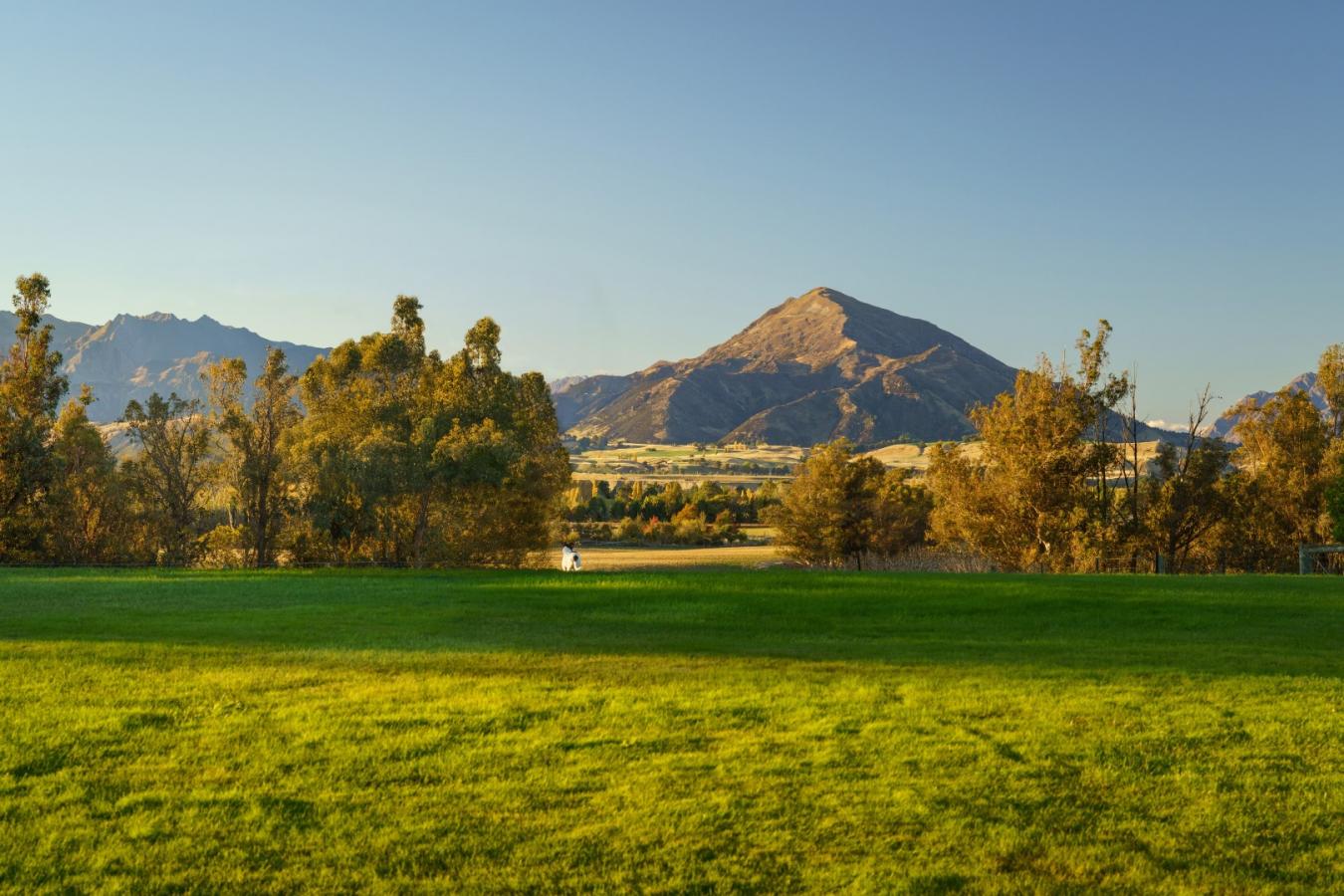 Wanaka, Central Otago, 9305, New Zealand, 6 Bedrooms Bedrooms, ,5 BathroomsBathrooms,Residential,For Sale,2015371