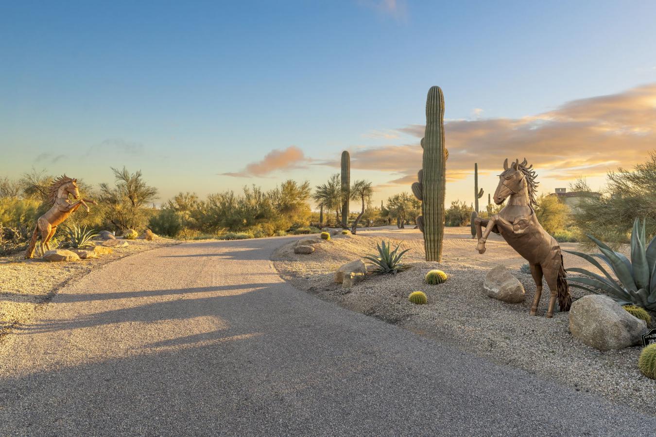 8449 E Dixileta Drive, Scottsdale, Maricopa, 85266, United States, 3 Bedrooms Bedrooms, ,5 BathroomsBathrooms,Residential,For Sale,8449 E Dixileta Drive,6981681