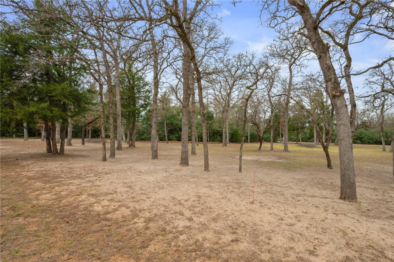 TBD Country Place, Hilltop Lakes, Leon, 77871, United States, ,Residential,For Sale,TBD Country Place,223542
