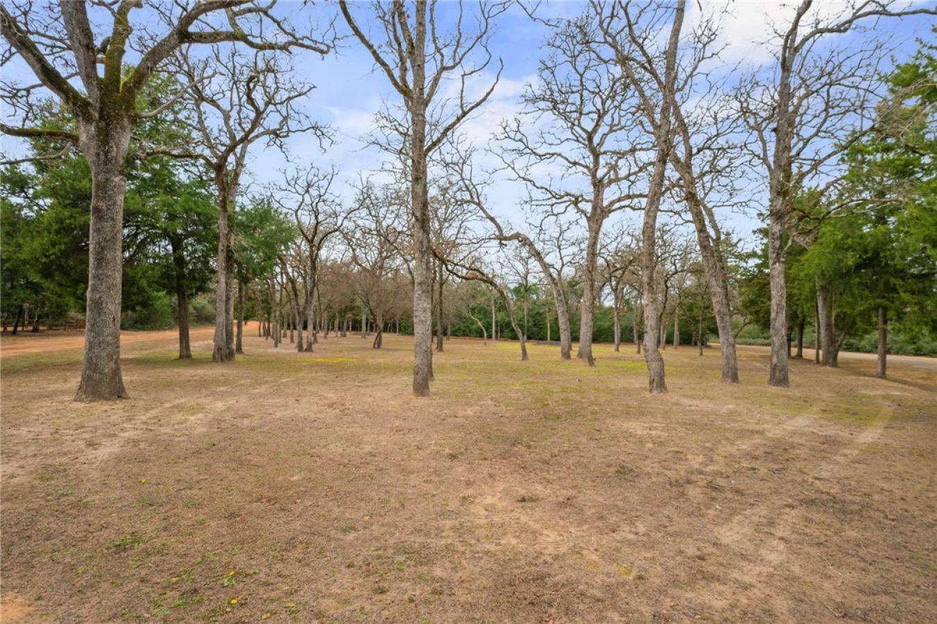 TBD Country Place, Hilltop Lakes, Leon, 77871, United States, ,Residential,For Sale,TBD Country Place,223542