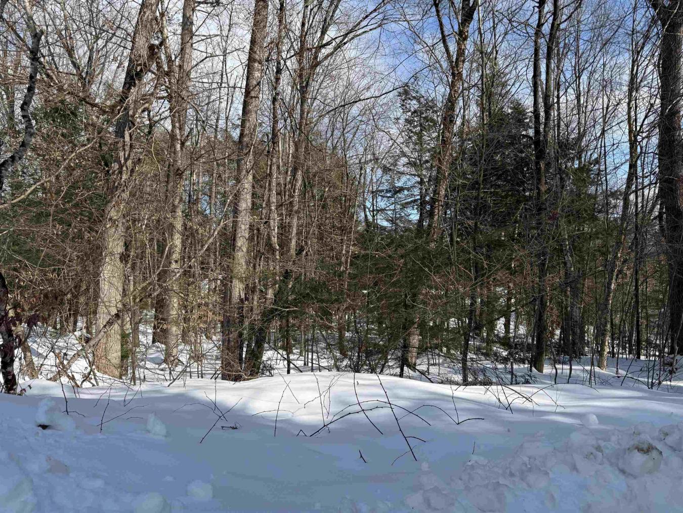 14-194 Seminole Road, Hillsborough, NH-Hillsborough, 03244, United States, ,1 BathroomBathrooms,Residential,For Sale,14-194 Seminole Road,5078605