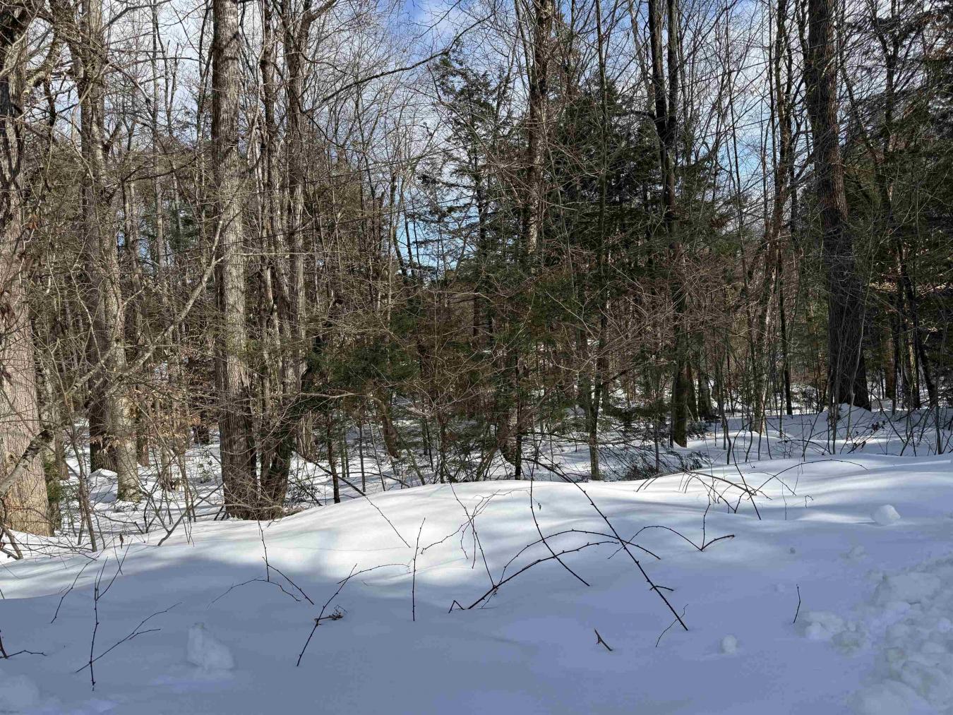 14-194 Seminole Road, Hillsborough, NH-Hillsborough, 03244, United States, ,1 BathroomBathrooms,Residential,For Sale,14-194 Seminole Road,5078605
