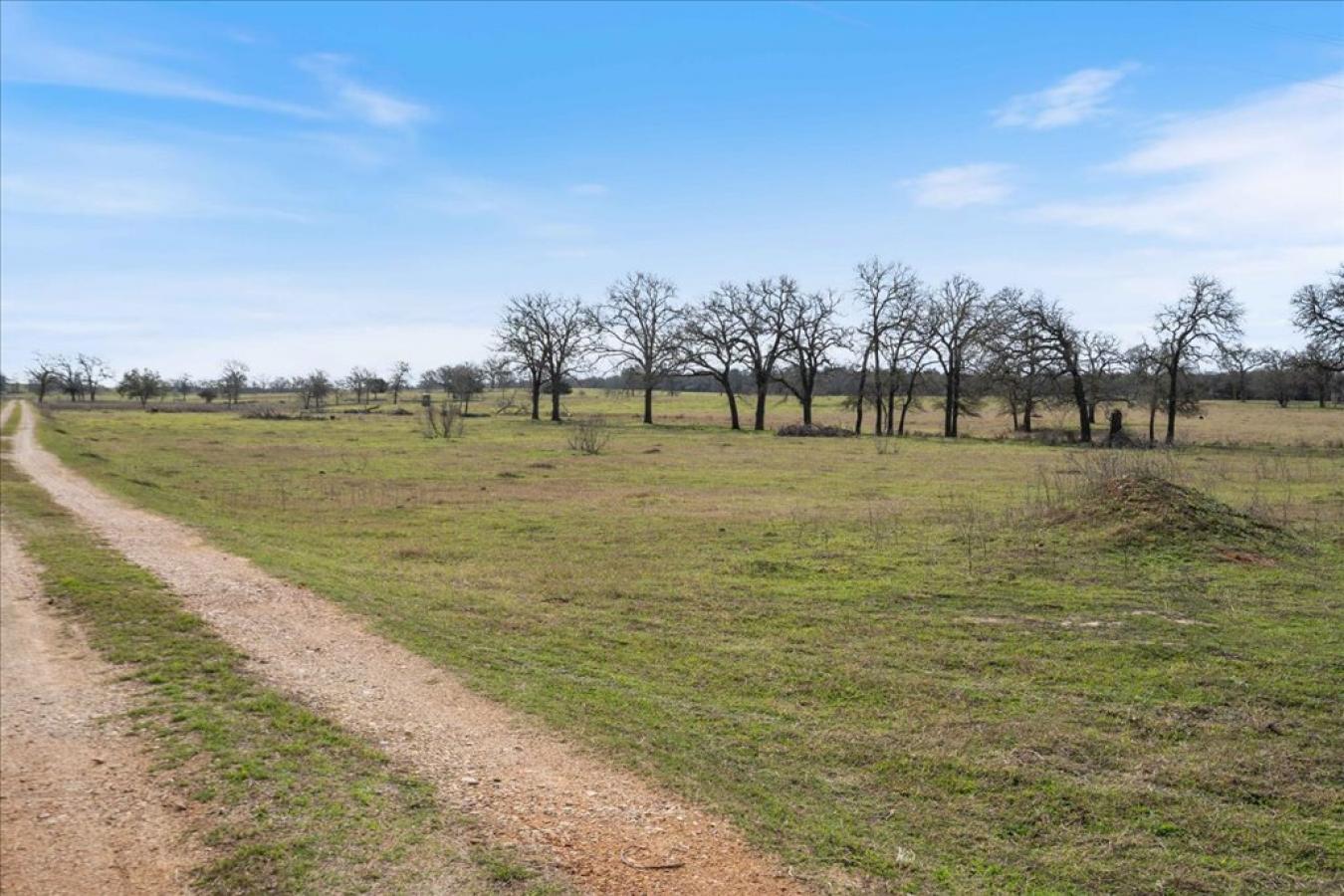 4504 State Highway 304, Rosanky, Caldwell, 78953, United States, ,Residential,For Sale,4504 State Highway 304,9937352