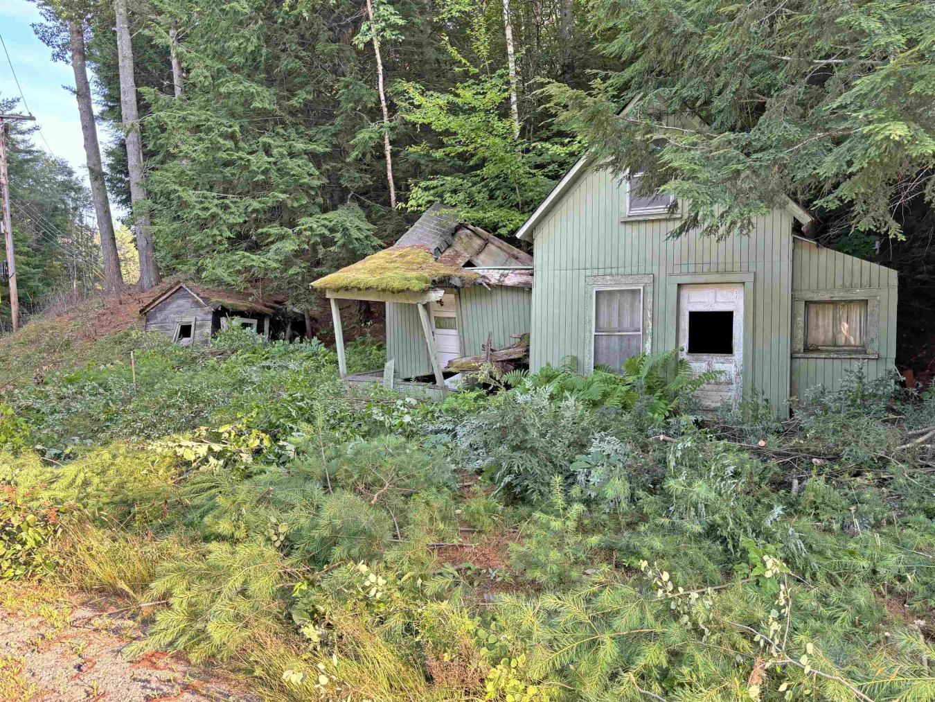This 0.111-acre lot has a cabin and shed that will have to be removed – image 2