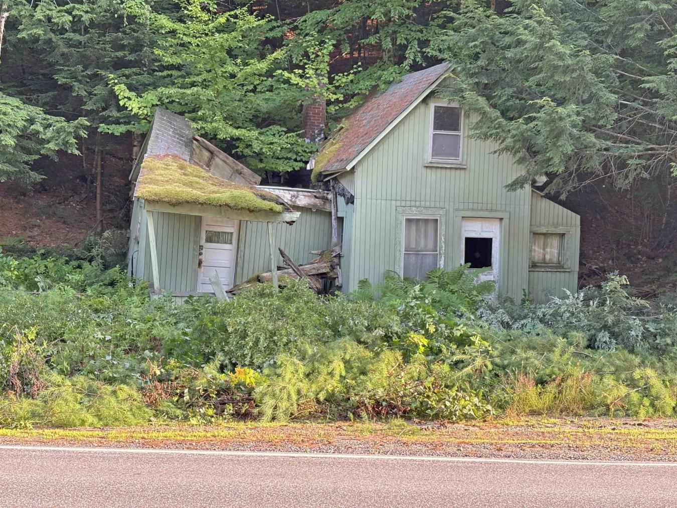 This 0.111-acre lot has a cabin and shed that will have to be removed – image 3