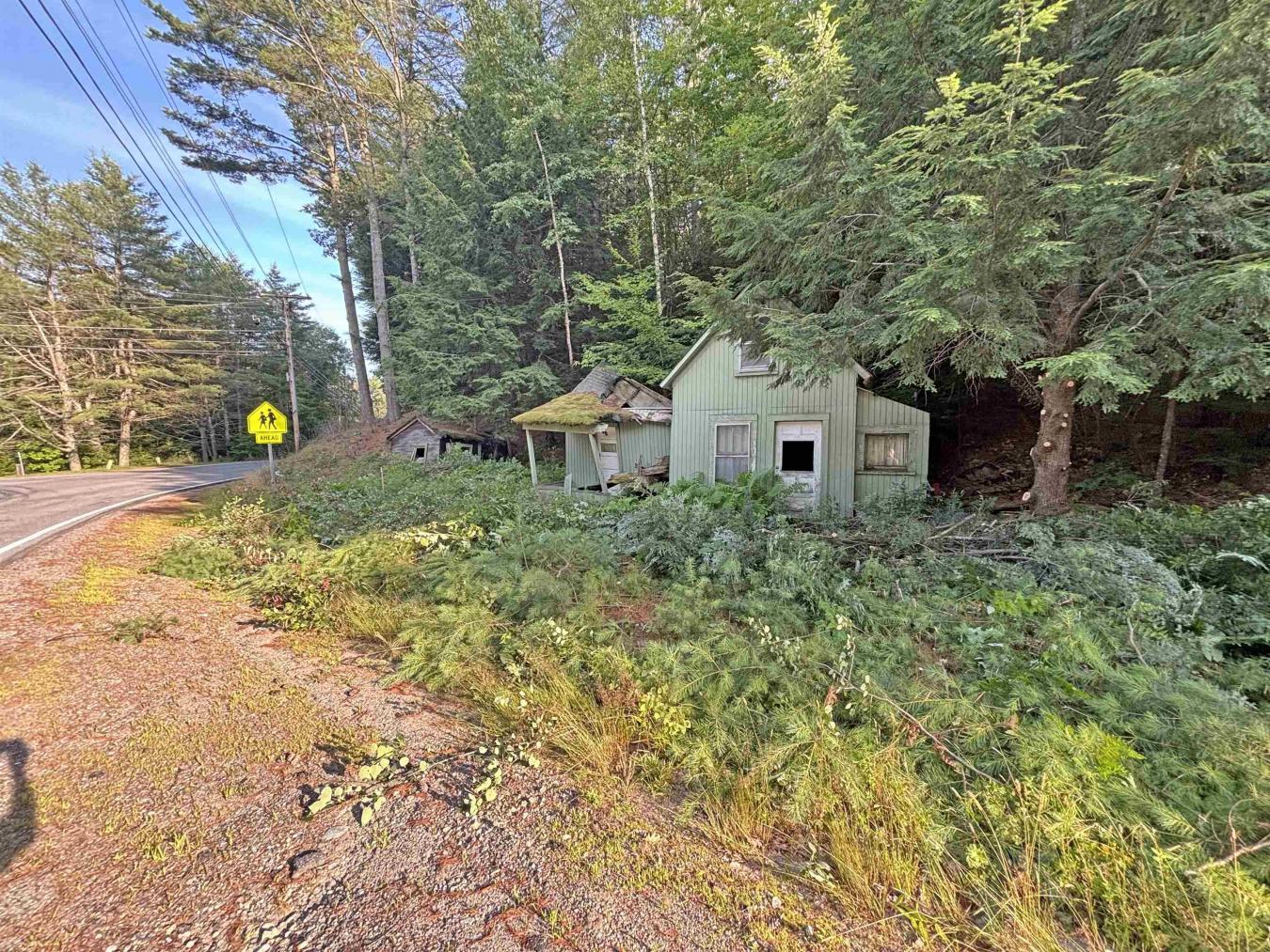 This 0.111-acre lot has a cabin and shed that will have to be removed – image 4