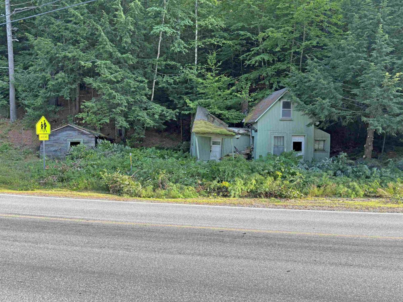 This 0.111-acre lot has a cabin and shed that will have to be removed – image 6