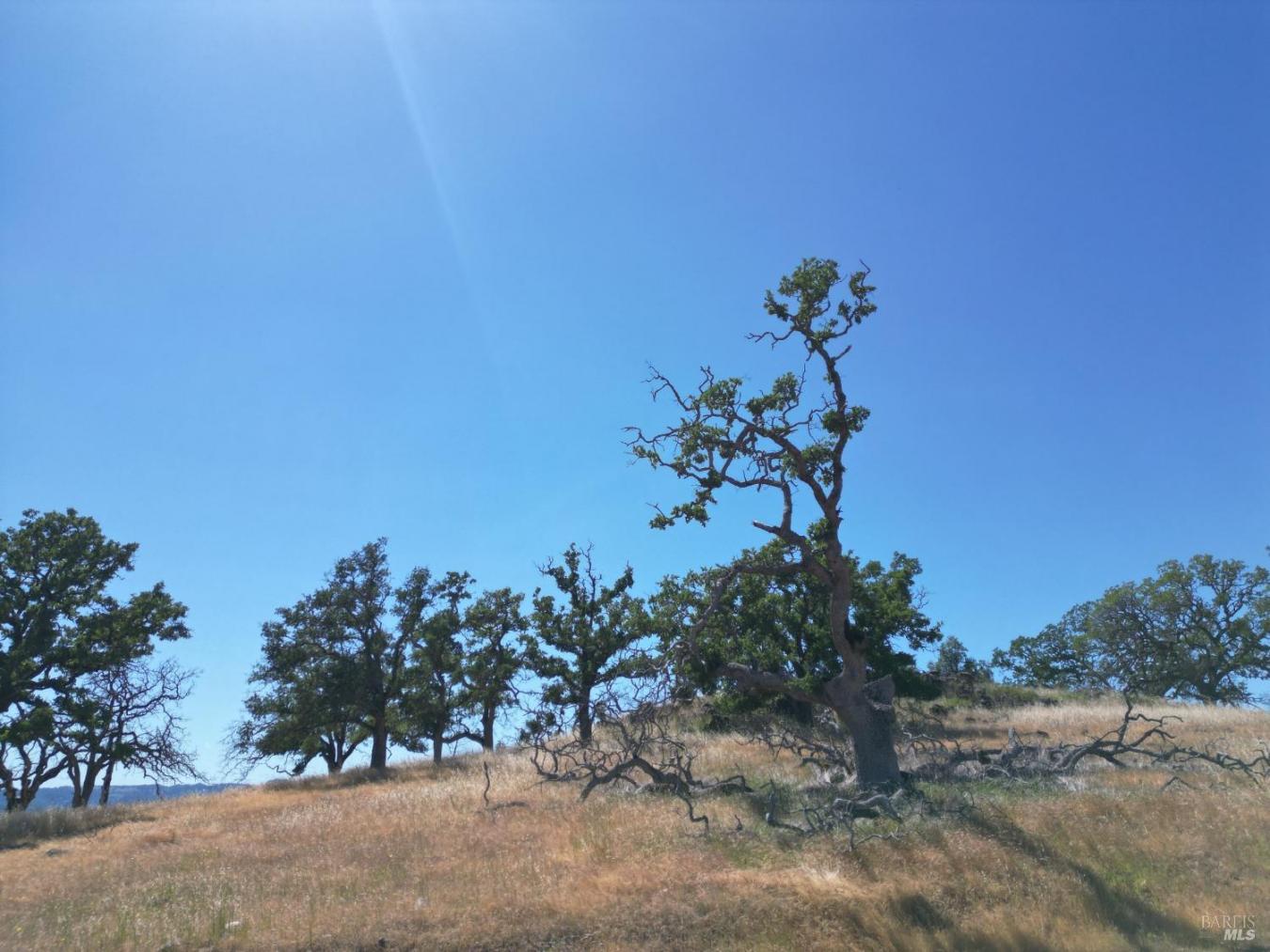 Pope Canyon, Pope Valley, Napa, 94567, United States, ,Residential,For Sale,Pope Canyon,225576