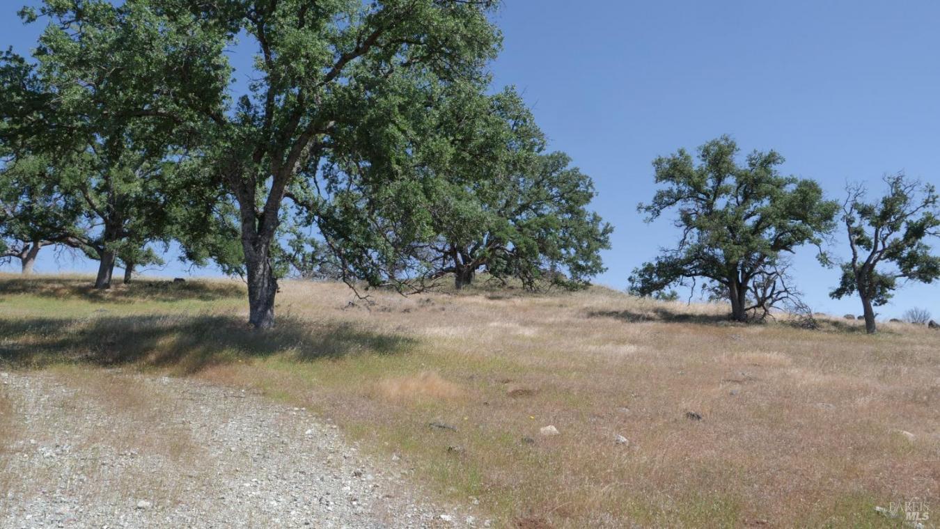 Pope Canyon, Pope Valley, Napa, 94567, United States, ,Residential,For Sale,Pope Canyon,225576