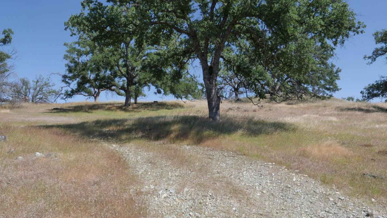 Pope Canyon, Pope Valley, Napa, 94567, United States, ,Residential,For Sale,Pope Canyon,225576