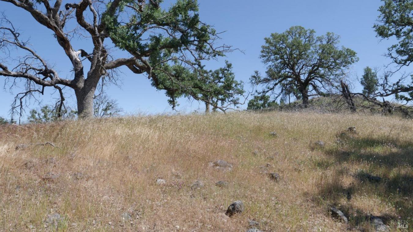 Pope Canyon, Pope Valley, Napa, 94567, United States, ,Residential,For Sale,Pope Canyon,225576