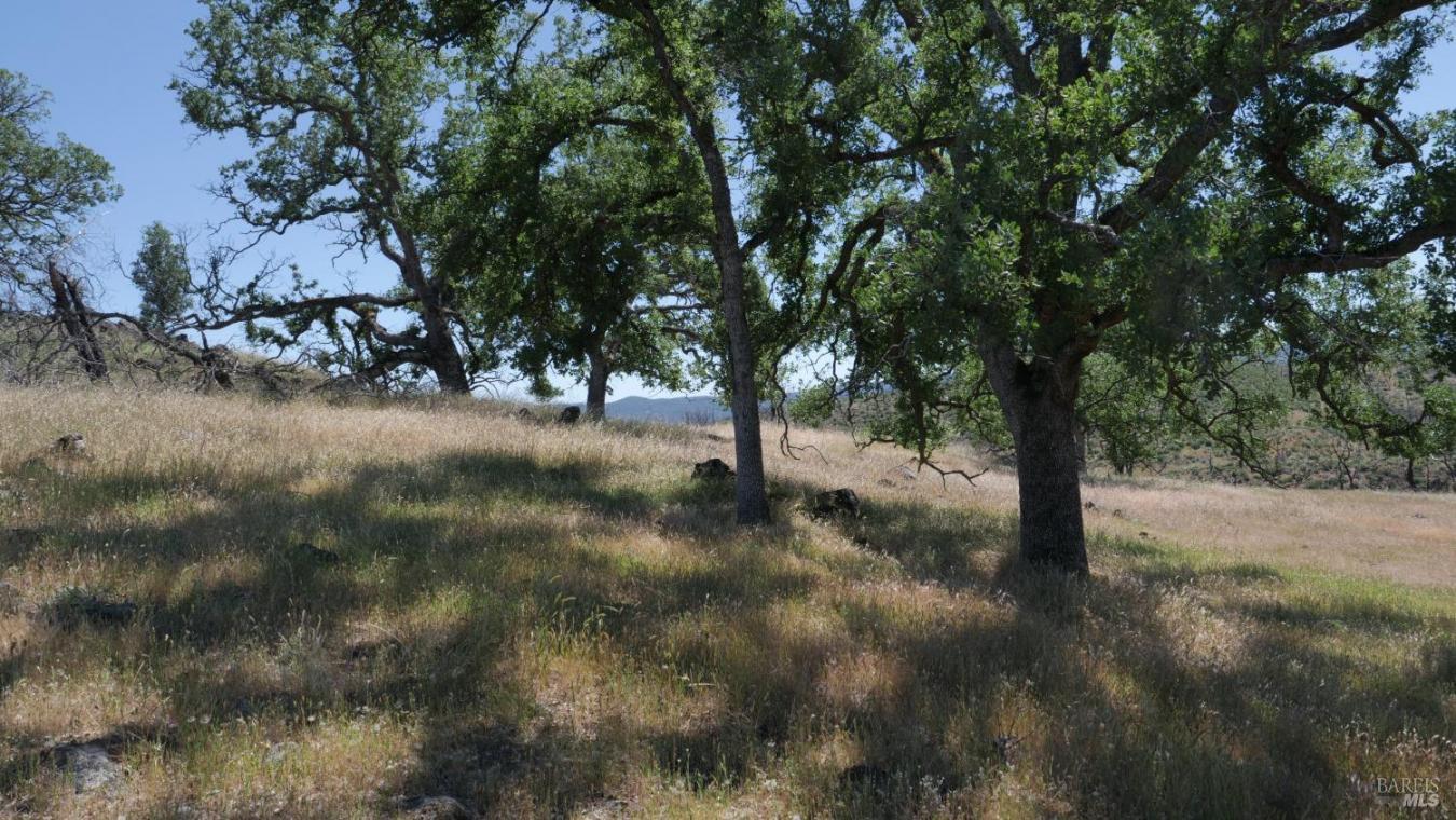 Pope Canyon, Pope Valley, Napa, 94567, United States, ,Residential,For Sale,Pope Canyon,225576