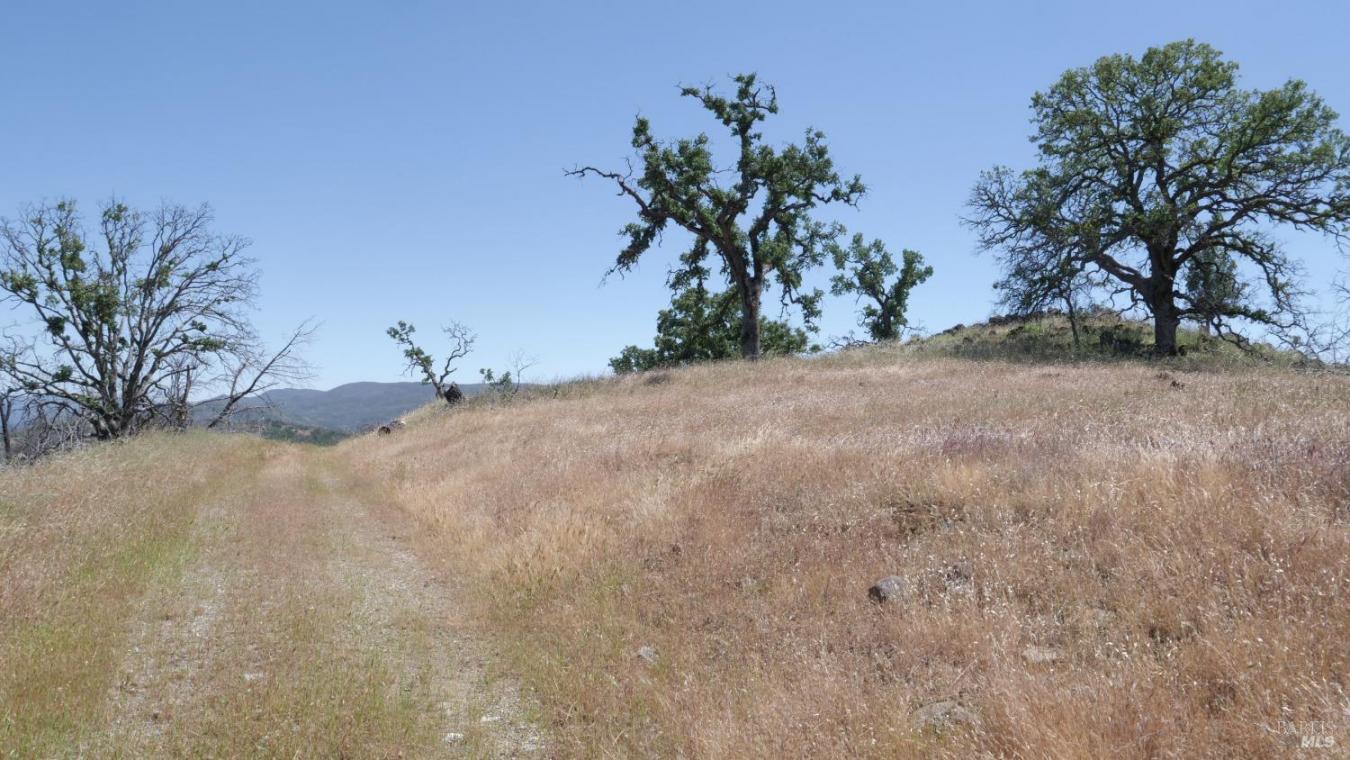 Pope Canyon, Pope Valley, Napa, 94567, United States, ,Residential,For Sale,Pope Canyon,225576