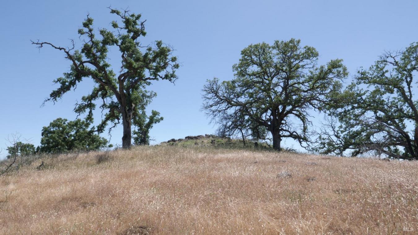 Pope Canyon, Pope Valley, Napa, 94567, United States, ,Residential,For Sale,Pope Canyon,225576