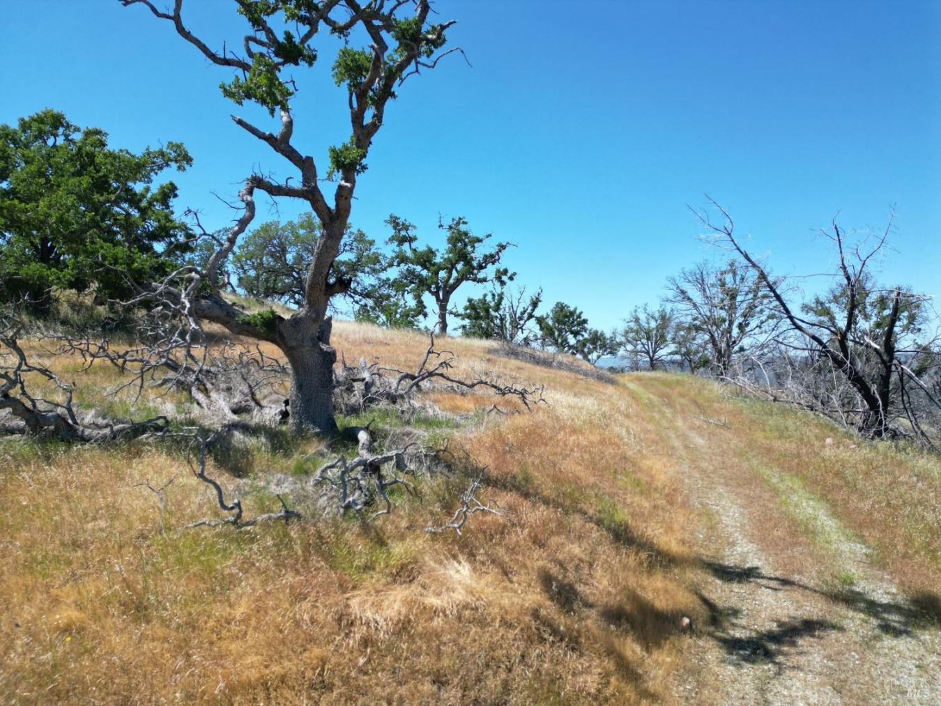 Pope Canyon, Pope Valley, Napa, 94567, United States, ,Residential,For Sale,Pope Canyon,225576