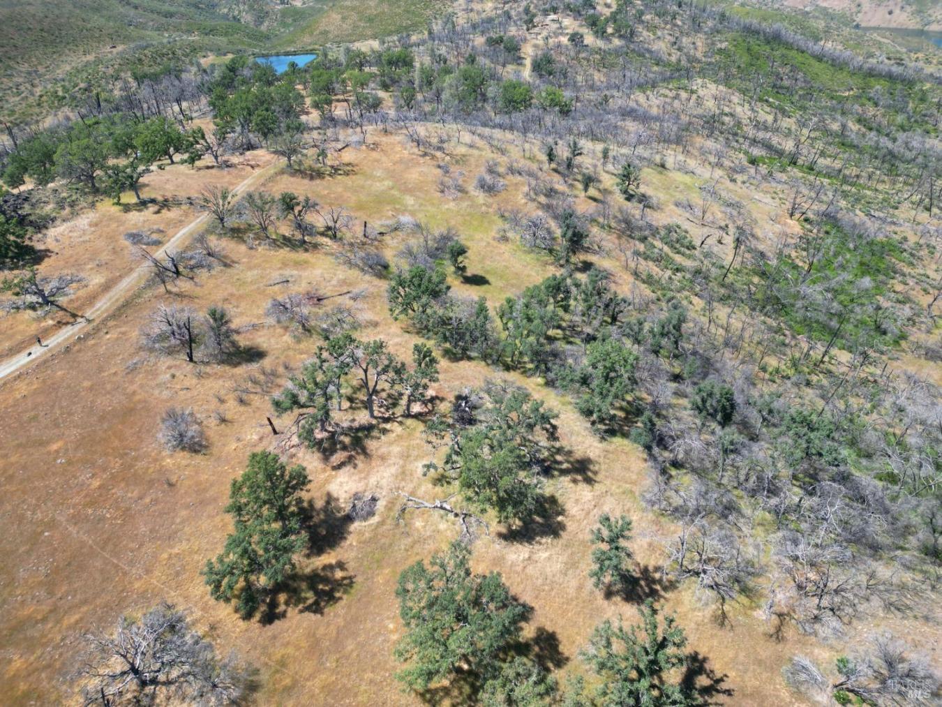 Pope Canyon, Pope Valley, Napa, 94567, United States, ,Residential,For Sale,Pope Canyon,225576