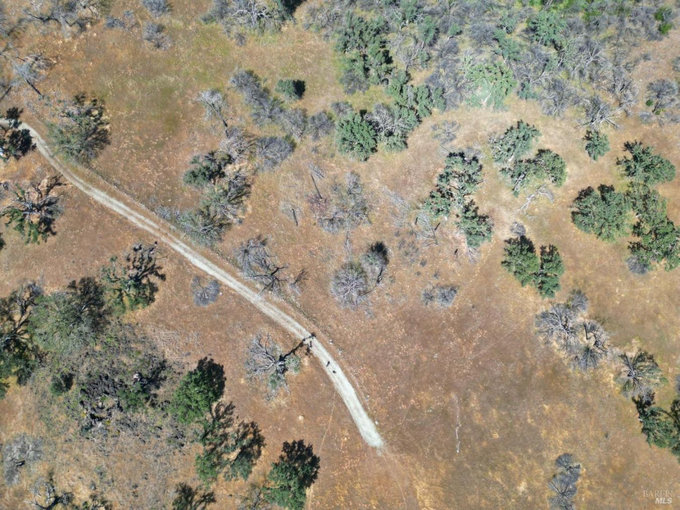 Pope Canyon, Pope Valley, Napa, 94567, United States, ,Residential,For Sale,Pope Canyon,225576