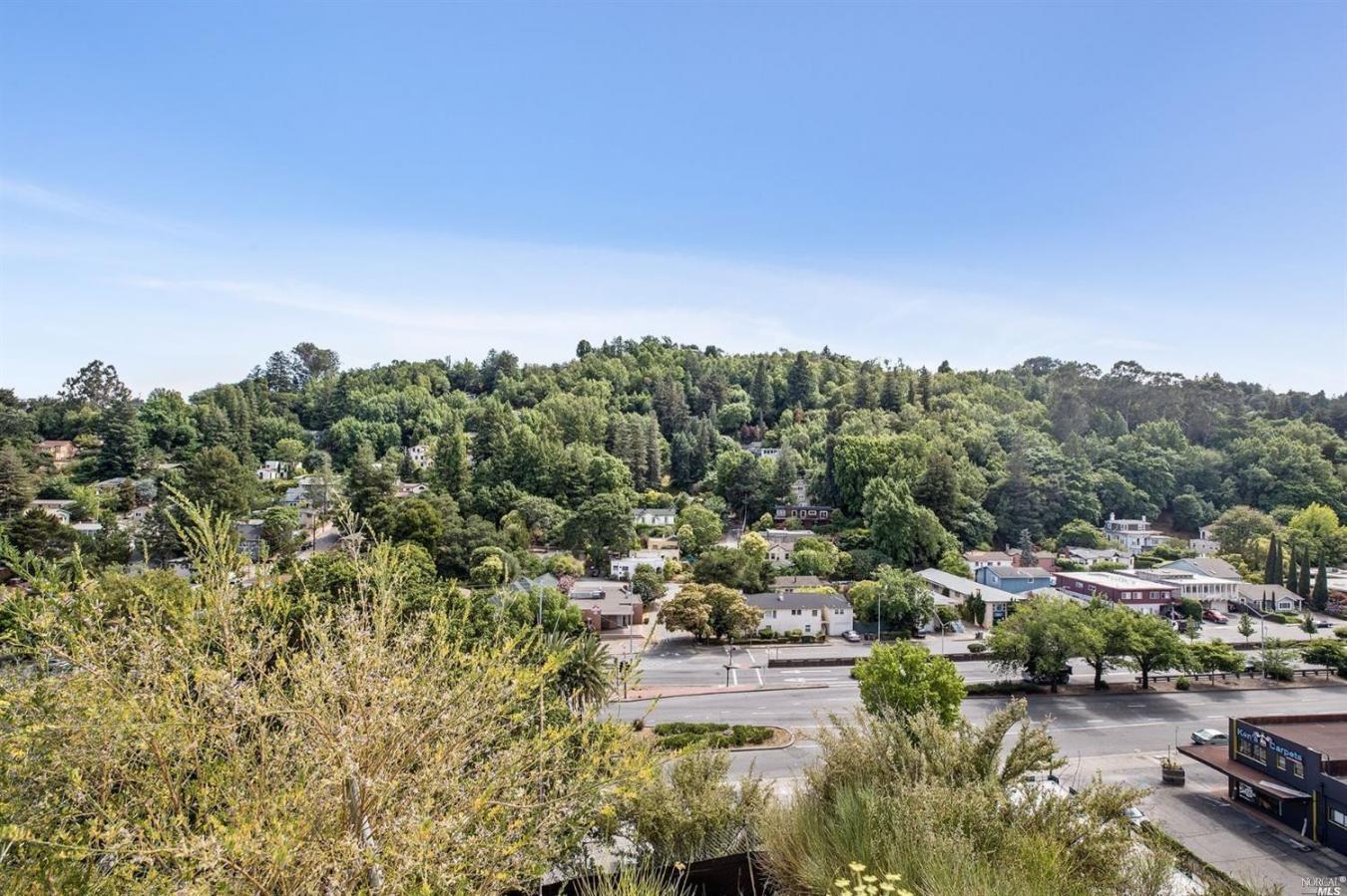 51 El Camino Avenue, San Rafael, Marin, 94901, United States, ,Residential,For Sale,51 El Camino Avenue,225578