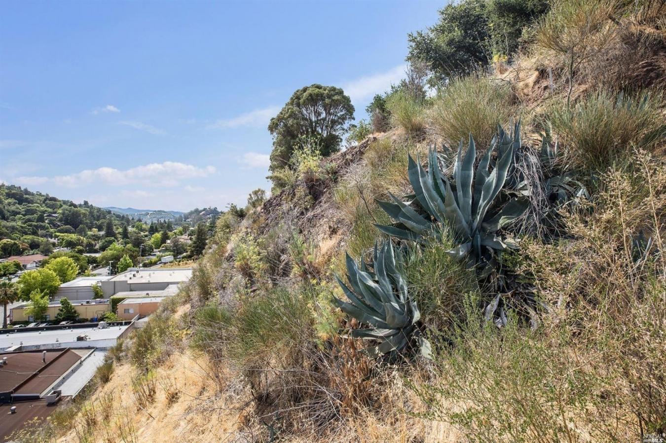 51 El Camino Avenue, San Rafael, Marin, 94901, United States, ,Residential,For Sale,51 El Camino Avenue,225578