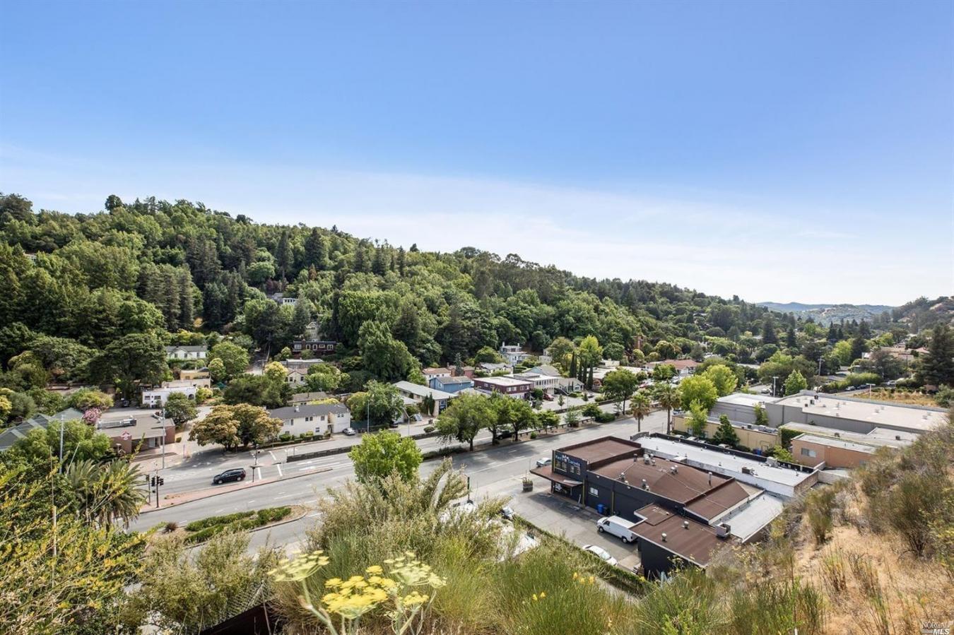 51 El Camino Avenue, San Rafael, Marin, 94901, United States, ,Residential,For Sale,51 El Camino Avenue,225578