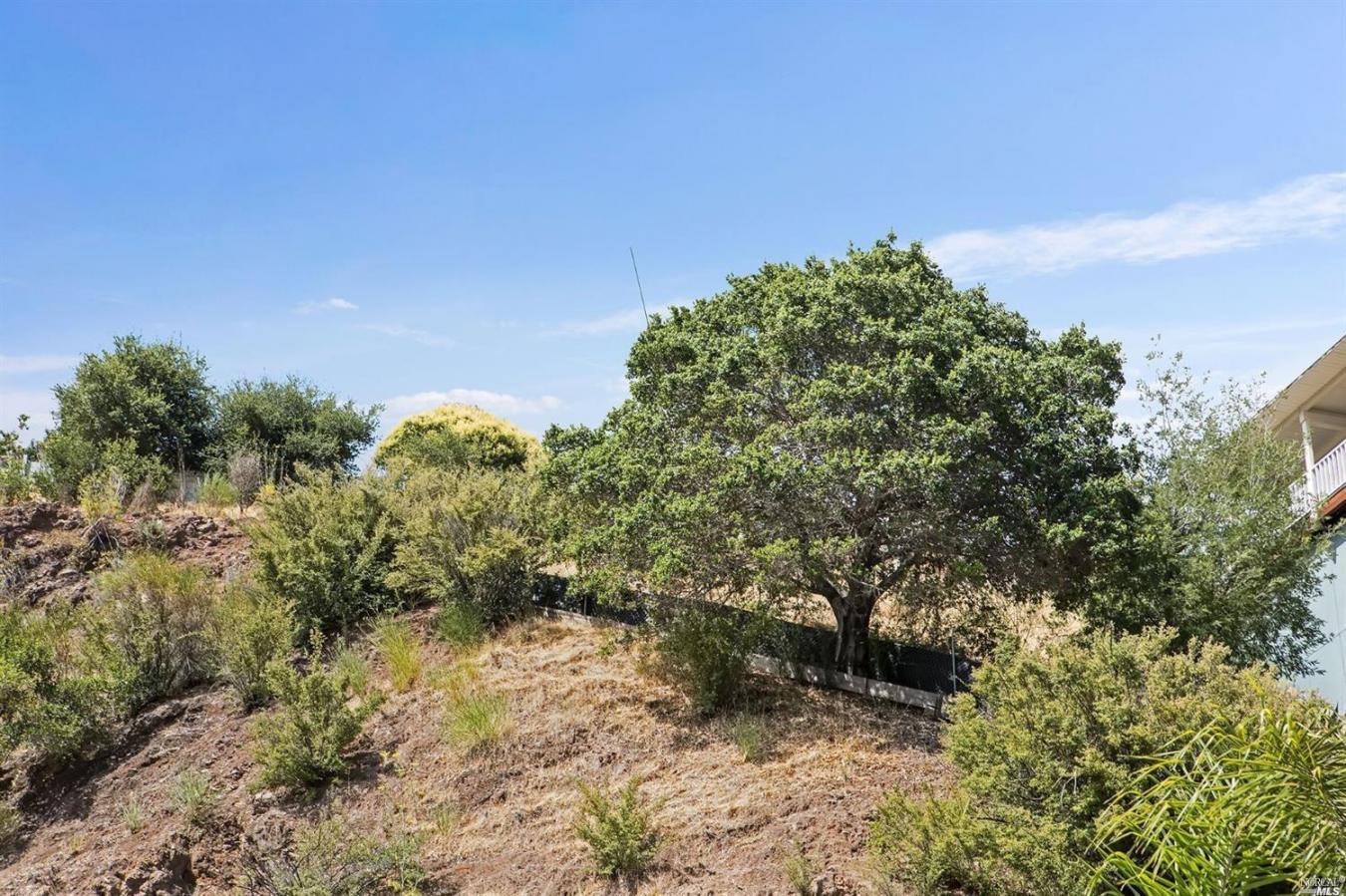 51 El Camino Avenue, San Rafael, Marin, 94901, United States, ,Residential,For Sale,51 El Camino Avenue,225578